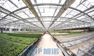 蔬菜溫室大棚可以使用麻豆免费看视频做骨架嗎？
